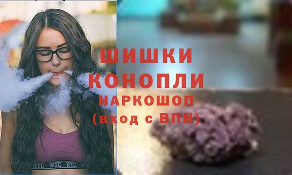 ECSTASY Каменка