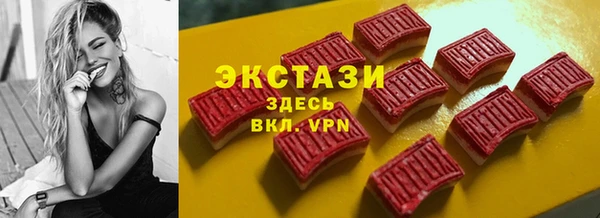 ECSTASY Каменка