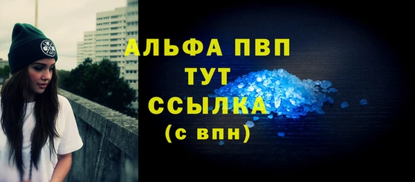 мдпв Каменногорск