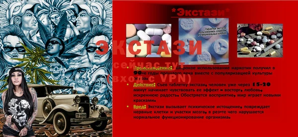 мдпв Каменногорск