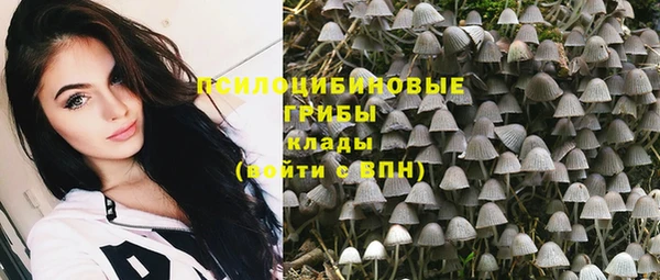 мдпв Каменногорск
