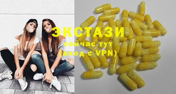 ECSTASY Каменка