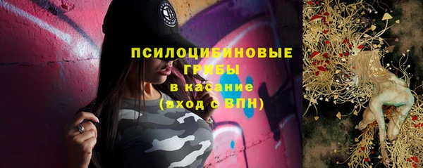 мдпв Каменногорск