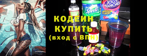 мдпв Каменногорск