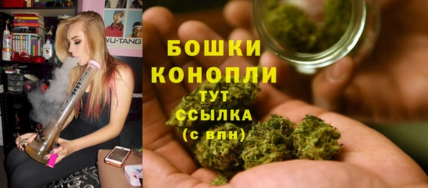 ECSTASY Каменка
