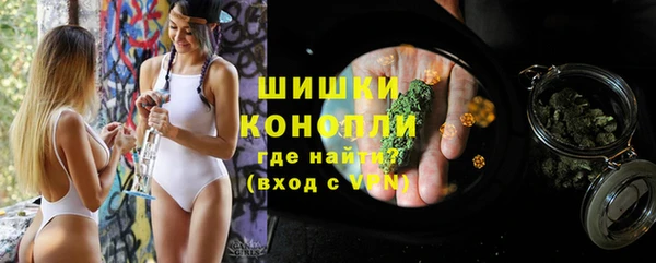 мдпв Каменногорск
