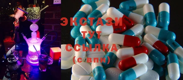 мдпв Каменногорск